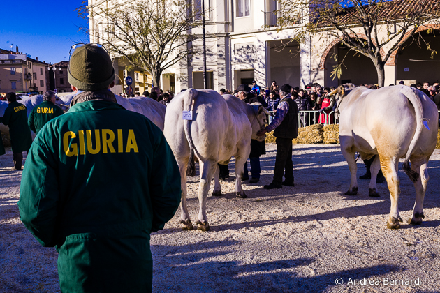 Fiera del Bue Grasso