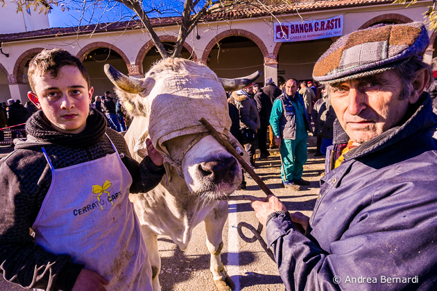 Fiera del Bue Grasso